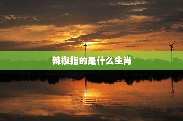 辣椒指的是什么生肖
