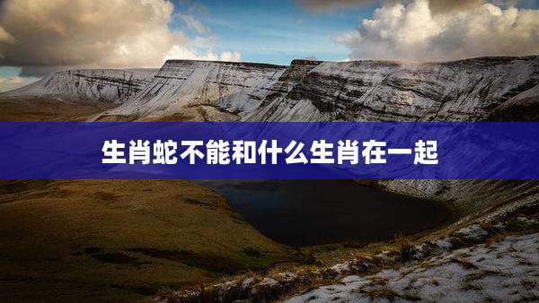 生肖蛇不能和什么生肖在一起