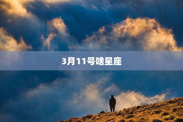 3月11号啥星座