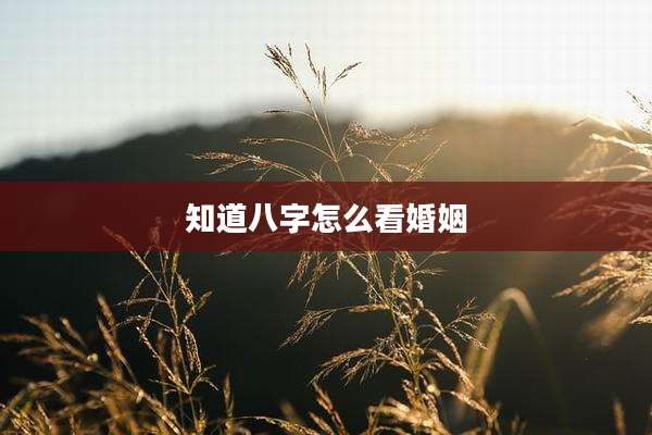 知道八字怎么看婚姻