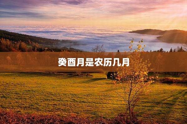 癸酉月是农历几月