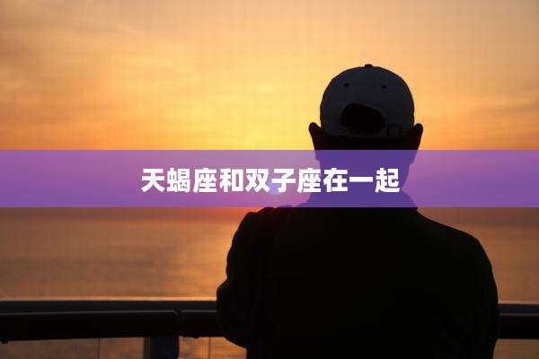 天蝎座和双子座在一起