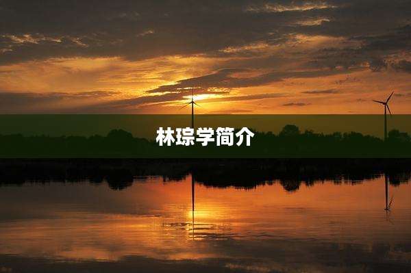 林琮学简介
