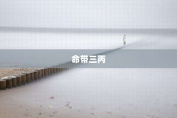 命带三丙