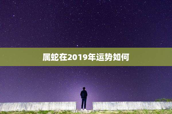 属蛇在2019年运势如何