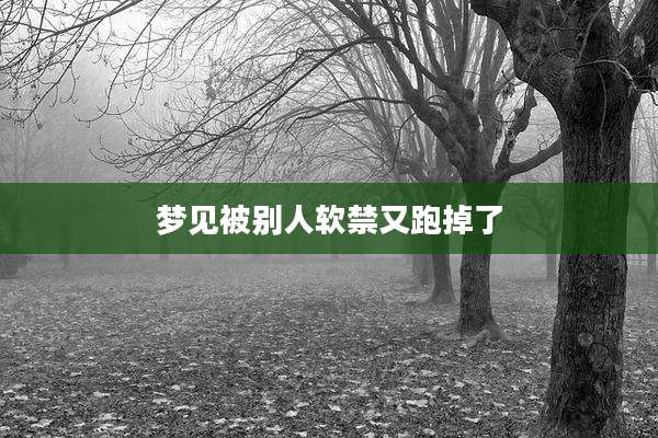 梦见被别人软禁又跑掉了