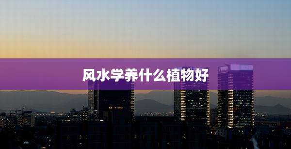 风水学养什么植物好
