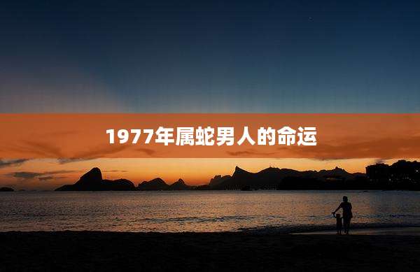 1977年属蛇男人的命运