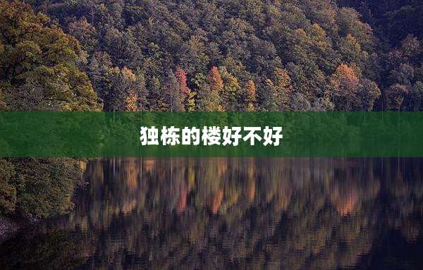 独栋的楼好不好