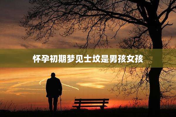 怀孕初期梦见士坟是男孩女孩