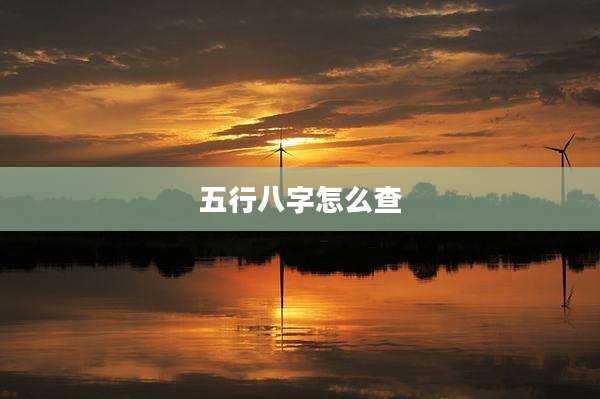 五行八字怎么查