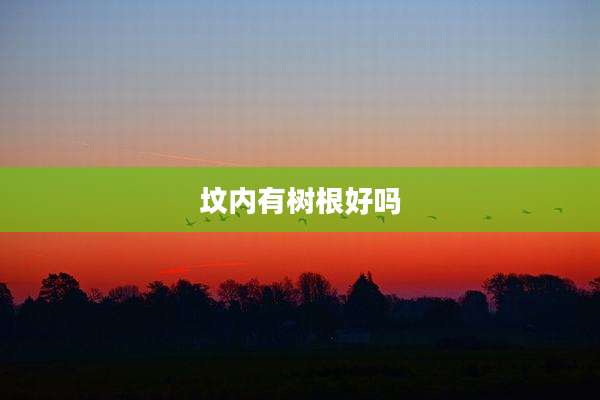 坟内有树根好吗