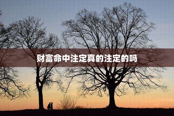 财富命中注定真的注定的吗
