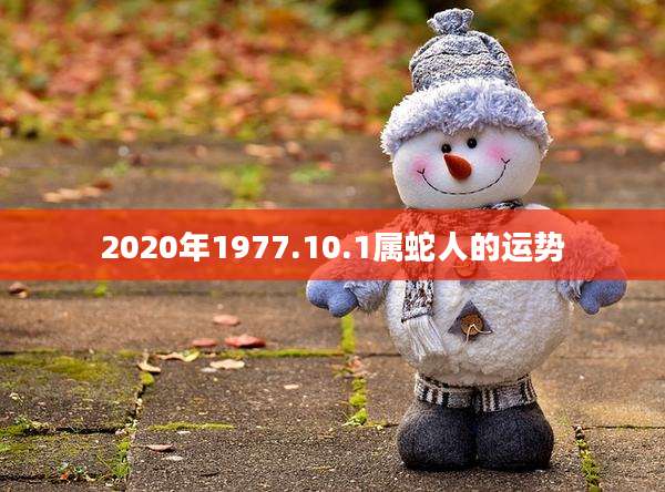2020年1977.10.1属蛇人的运势