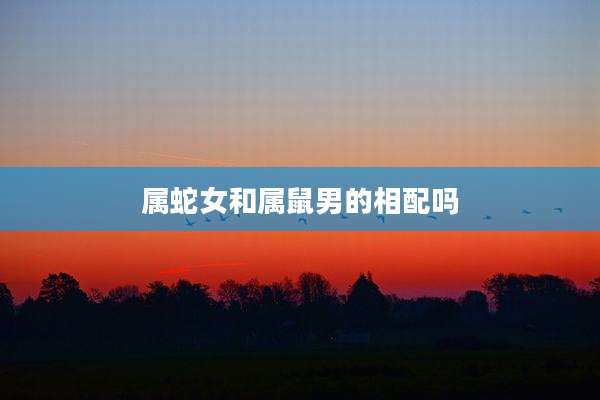 属蛇女和属鼠男的相配吗