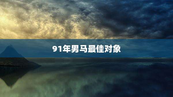 91年男马最佳对象