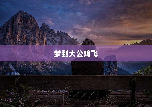 梦到大公鸡飞