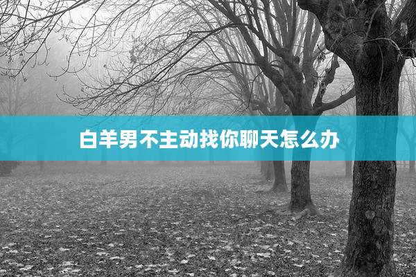 白羊男不主动找你聊天怎么办