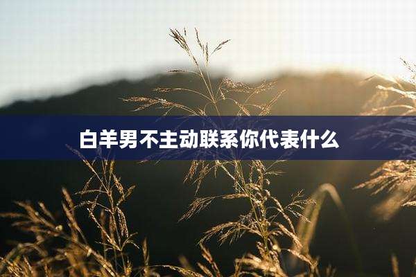 白羊男不主动联系你代表什么