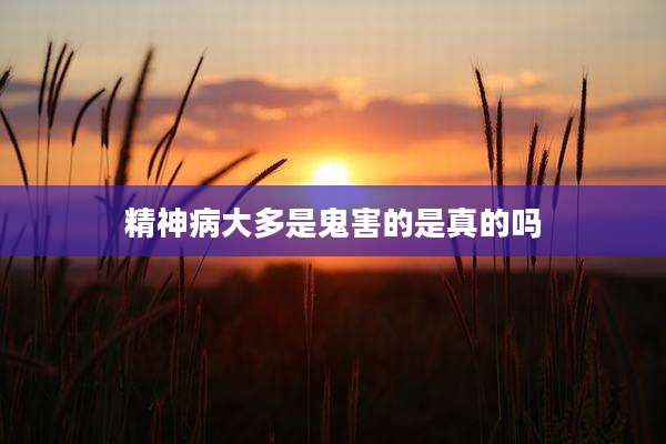 精神病大多是鬼害的是真的吗