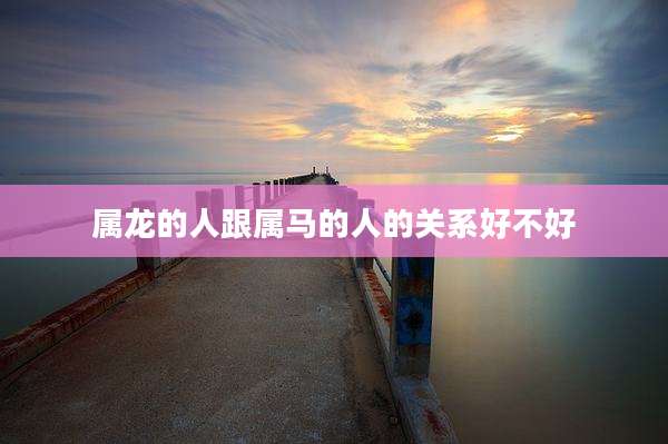 属龙的人跟属马的人的关系好不好