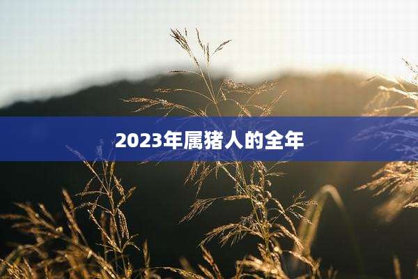 2023年属猪人的全年