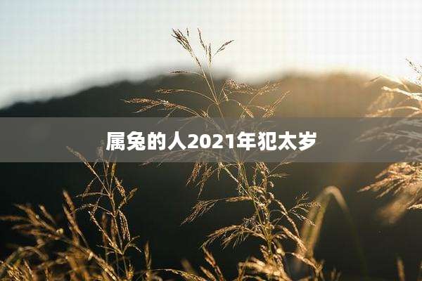 属兔的人2021年犯太岁