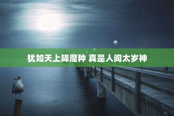 犹如天上降魔种 真是人间太岁神