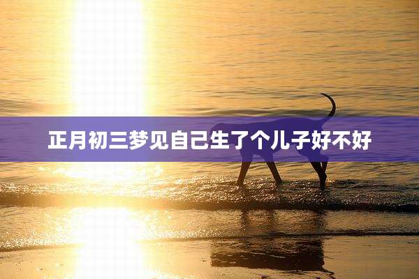 正月初三梦见自己生了个儿子好不好