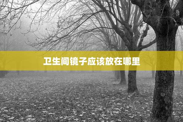 卫生间镜子应该放在哪里