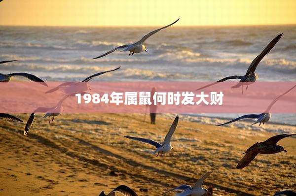 1984年属鼠何时发大财