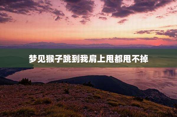 梦见猴子跳到我肩上甩都甩不掉