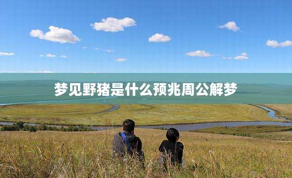 梦见野猪是什么预兆周公解梦