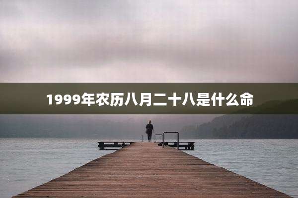 1999年农历八月二十八是什么命