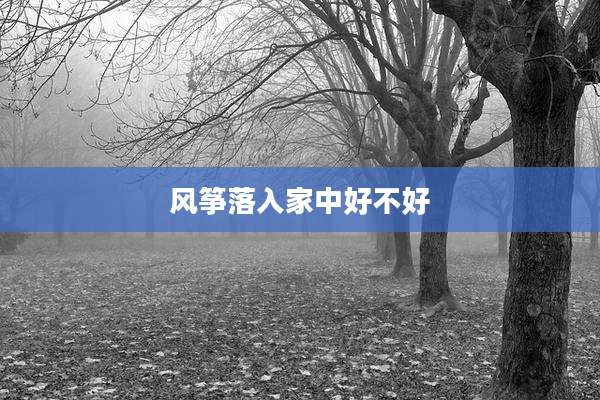 风筝落入家中好不好