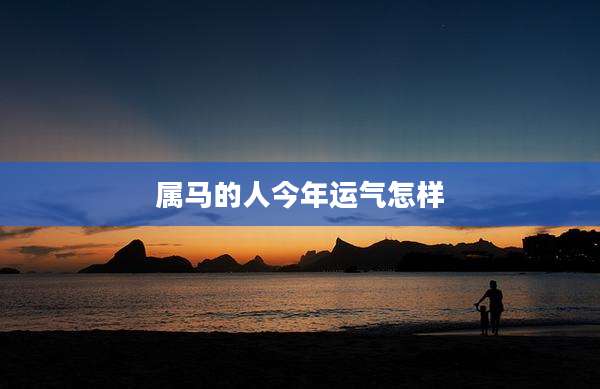 属马的人今年运气怎样