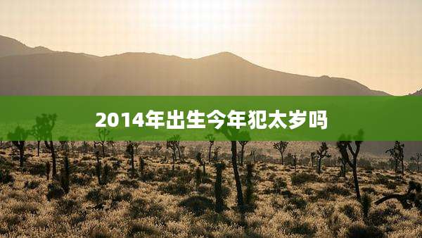 2014年出生今年犯太岁吗