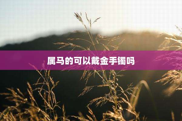 属马的可以戴金手镯吗