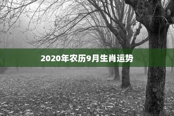 2020年农历9月生肖运势