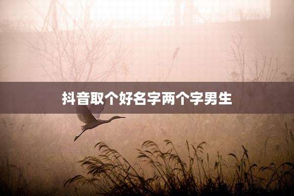 抖音取个好名字两个字男生