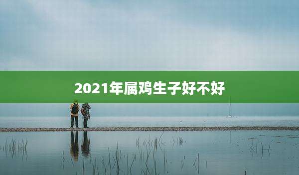 2021年属鸡生子好不好