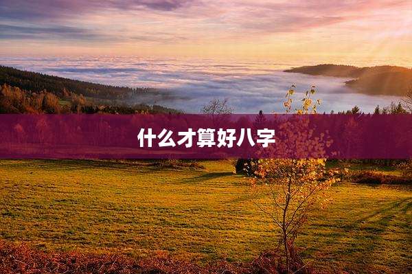 什么才算好八字