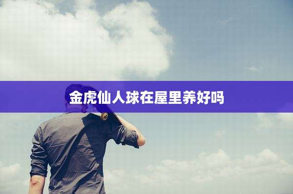 金虎仙人球在屋里养好吗