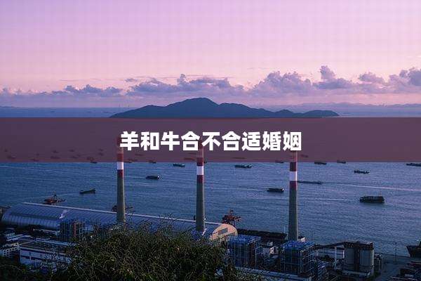 羊和牛合不合适婚姻
