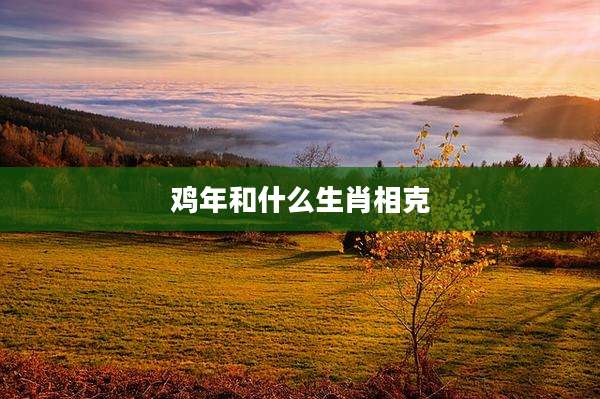 鸡年和什么生肖相克