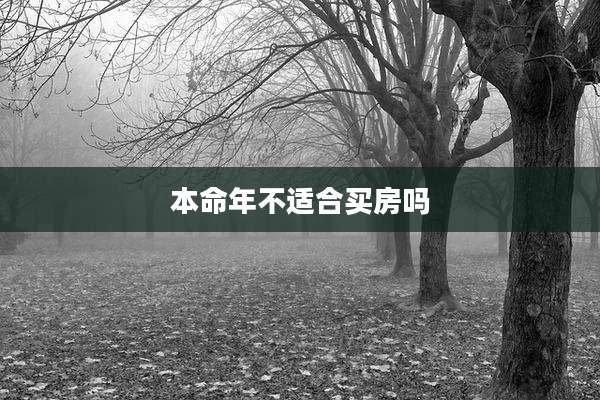 本命年不适合买房吗