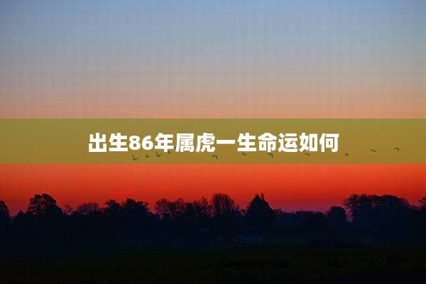 出生86年属虎一生命运如何