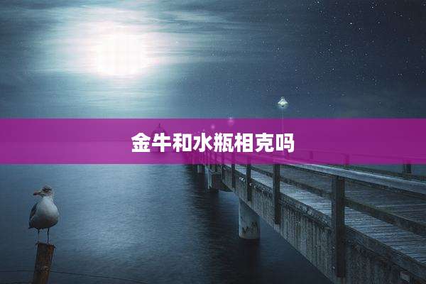 金牛和水瓶相克吗