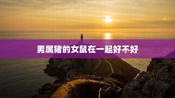 男属猪的女鼠在一起好不好
