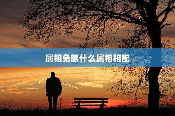 属相兔跟什么属相相配
